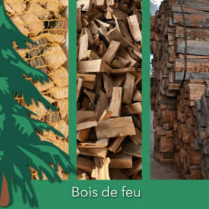 Bois de feu