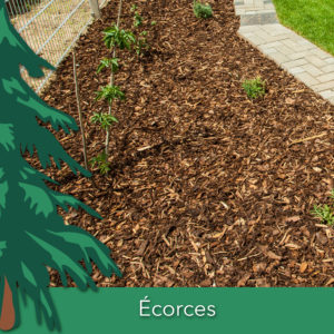 Ecorces hachées